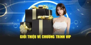 Giới thiệu về chương trình VIP EE88