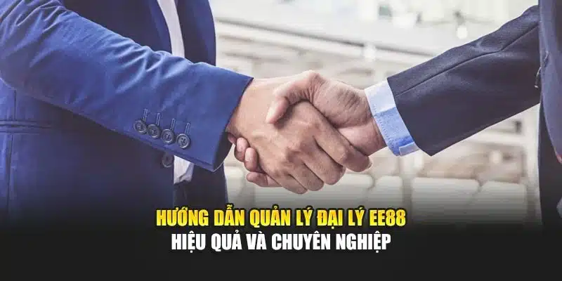 Hướng dẫn quản lý đại lý EE88 hiệu quả và chuyên nghiệp
