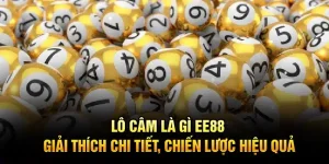 Lô Câm Là Gì EE88 – Khái Niệm, Thuật Ngữ Và Ứng Dụng