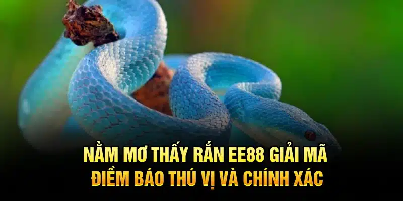 Nằm Mơ Thấy Rắn EE88 – Giải Mã Ý Nghĩa và Con Số