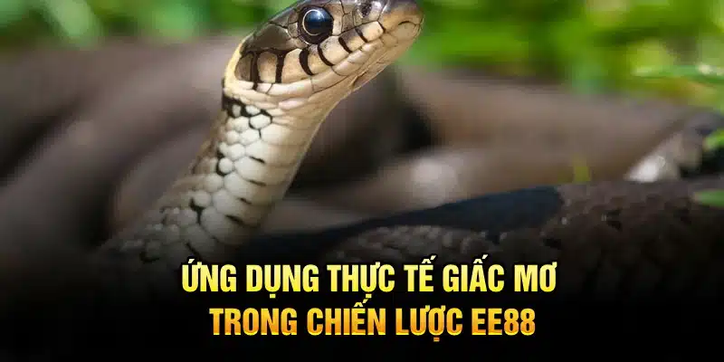 Ứng dụng thực tế giấc mơ trong chiến lược EE88